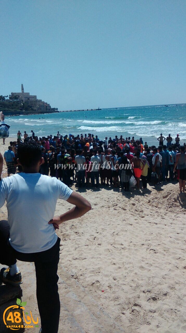 banana beach (2).jpg